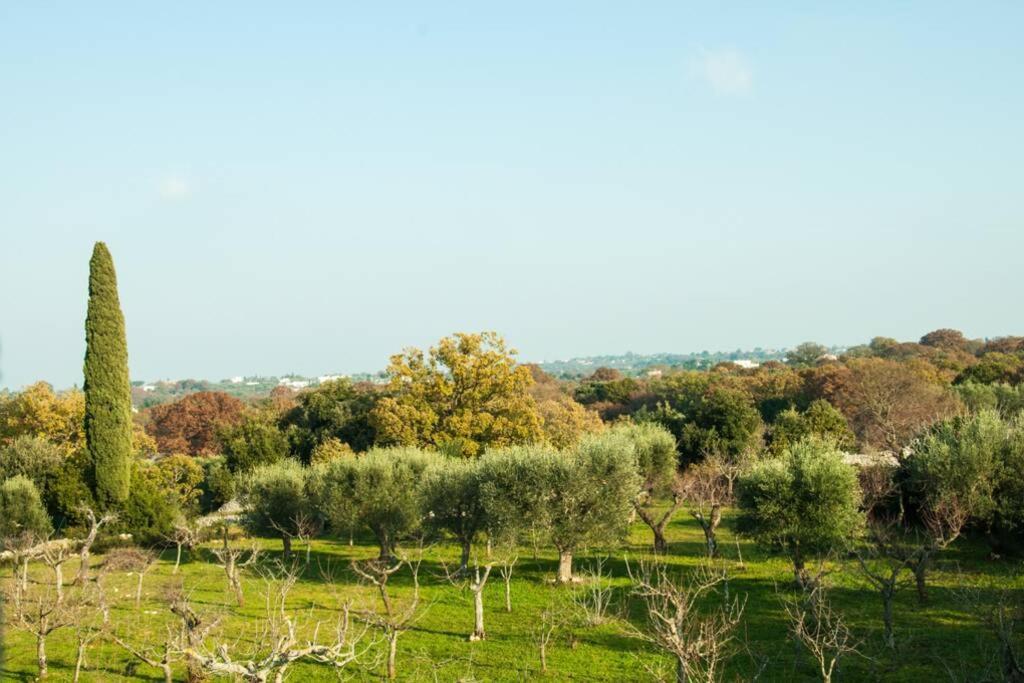 Vila Il Pero Monopoli Exteriér fotografie